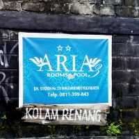 Aria Room & pool