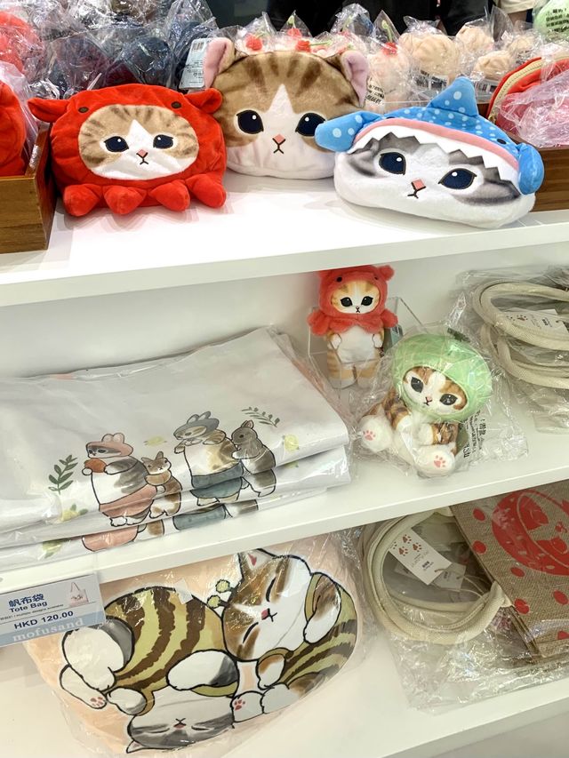 🐱🎀各位貓奴要留意啦💕
