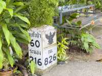 ร้านอาหารพื้นเมือง อร่อยริมบึง จ. พังงา