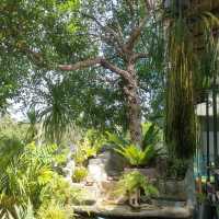 บ้านกาแฟ @เกาะช้างใต้ >>> เกาะช้างตราด