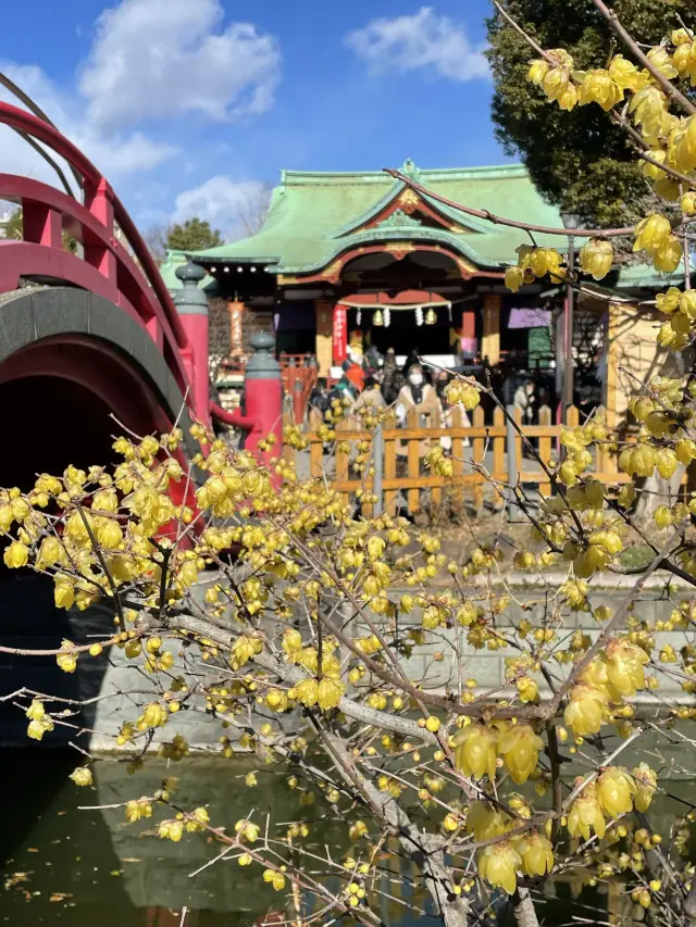 【東京都/亀戸天神社】人生の流れを表す3つの橋がある神社