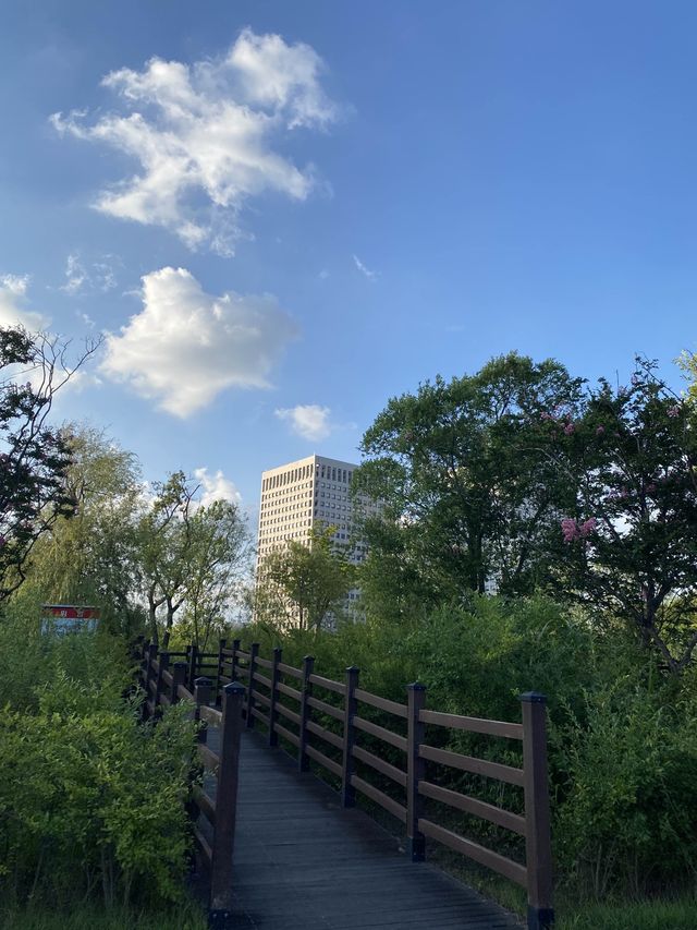 서울근교에서 산책하기 좋은 정부대전청사 자연마당🌳