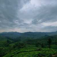 A must visit road in Munnar 🌿