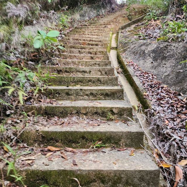 hiking at Bukit Shahbandar