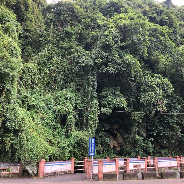 南庄遊客中心
