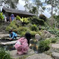 Japanese Serenity in Malaysia