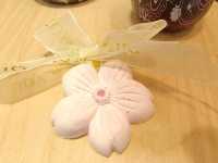 高雄-友善親子百貨🎀夢時代購物廣場|（高雄地標商圈）
