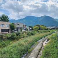 Yufuin lush fields 