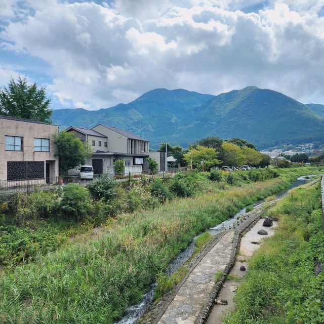 Yufuin lush fields 