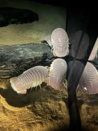 Monterey Bay Aquarium 