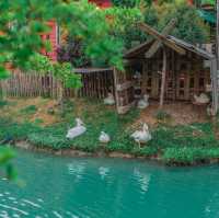 ปานชีวา เรสเตอรองท์ แอนด์ คาเฟ่