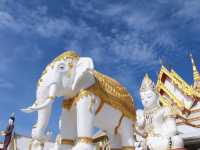 เที่ยววัดหนองพงนก วัดสวย นครปฐม 🙏🏻🙏🏻
