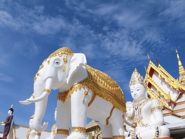 เที่ยววัดหนองพงนก วัดสวย นครปฐม 🙏🏻🙏🏻
