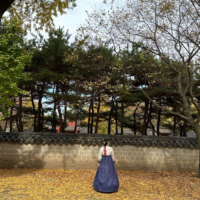 전주 한옥마을에 가면 무조건 들르는 역사적 명소, 경기전