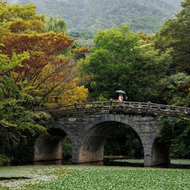 Beautiful Bulguksa Temple is Gyeongju