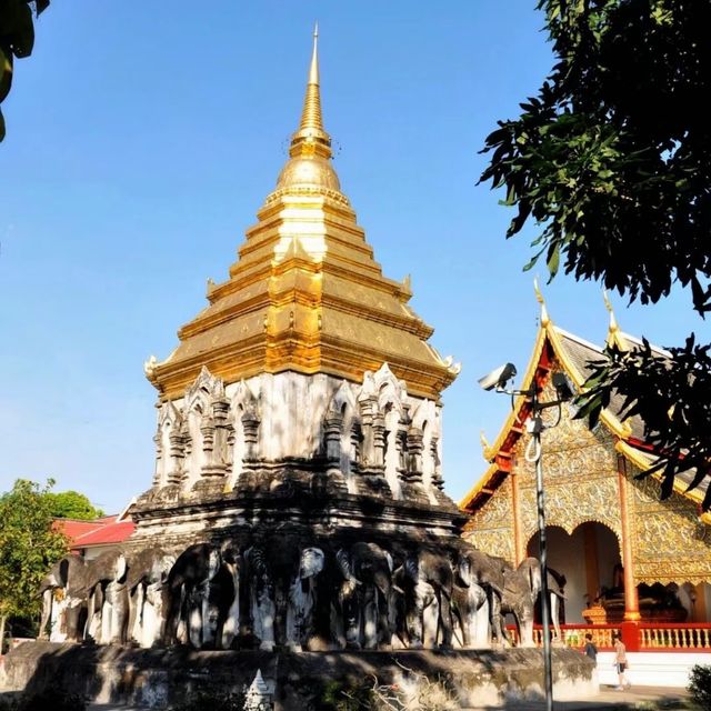 🕌🙏 清曼寺～清邁古城的佛塔奇蹟🕌🙏🏰⛩️🌸