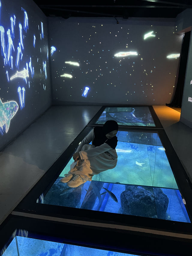 Sea life Bangkok ที่ไปกี่ครั้งก็ไม่เคยเบื่อเลย🥰