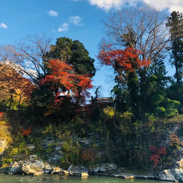 松尾川河川 🌊🛶悠閒划船⛵️🏞️