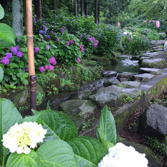 山梨、群馬バスツアー　