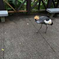 台北市立動物園