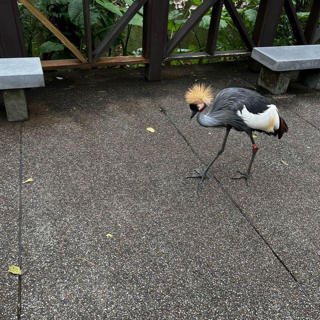 台北市立動物園
