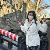 일본전통스타일을 느낄수 있는 현지인 관광지!🍵나리타 신쇼지 🇯🇵