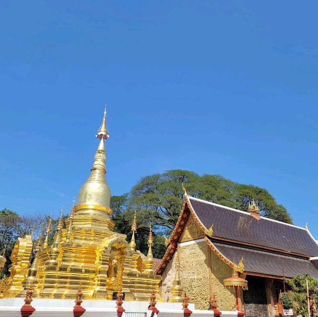 วัดชัยมงคล จ.เชียงใหม่ อยากปล่อยนก ปล่อยปลา 