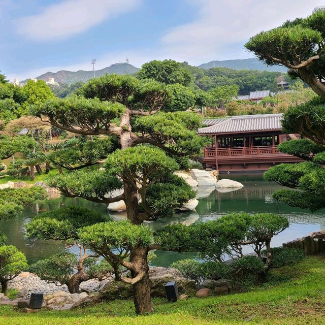 鬧市中的古園：南蓮園池
