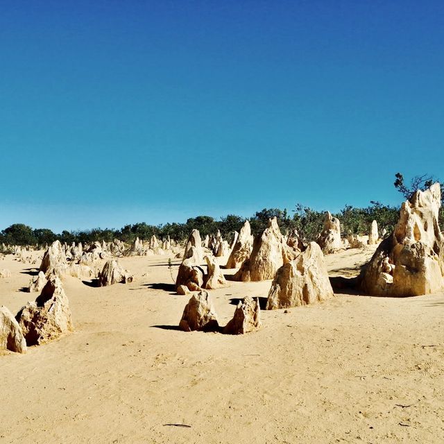 The Pinnacles Desert - Perth, Australia