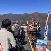 河口湖/富士急 （新宿出發）