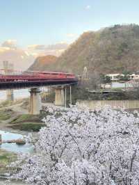首爾近郊遊3 - 江村鐵路自行車✌🏻