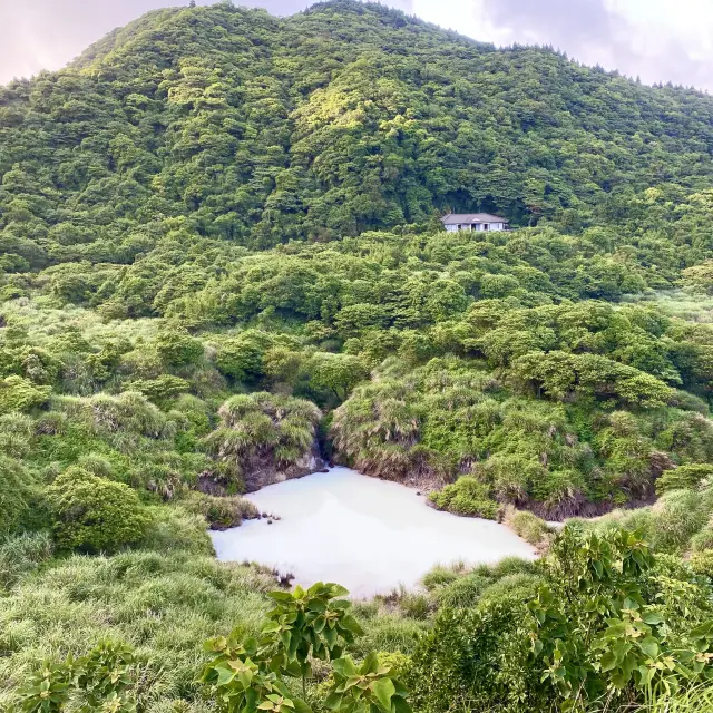 陽明山擎天崗