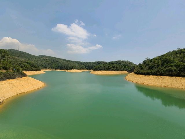 【水塘界四小龍~金山郊野公園🐒】