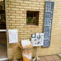 【東京都/東神社】数少ない東京での湧水溢れる神社