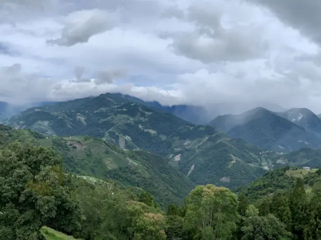 🌾 南投青青草原，大自然的恩賜🏞️