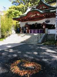 【静岡県/来宮神社】樹齢2100年の大楠が必見の神社