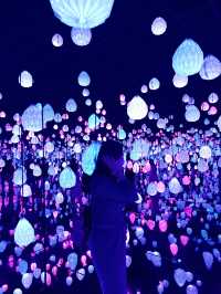 ARTE MUSEUM VALLEY - A Korean version of Teamlab 