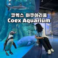 동심 찾으러 떠나요, 코엑스 아쿠아리움 🫧