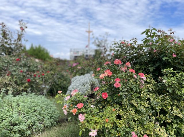 【神奈川】港の美しい公園で一休み！