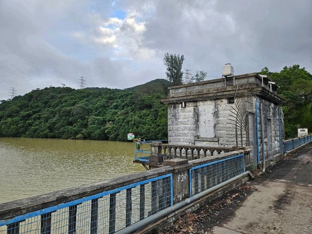 以猴子出名的金山郊野公園