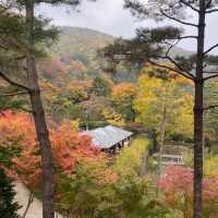 Beautiful autumn view of Hwadam botanicgarden