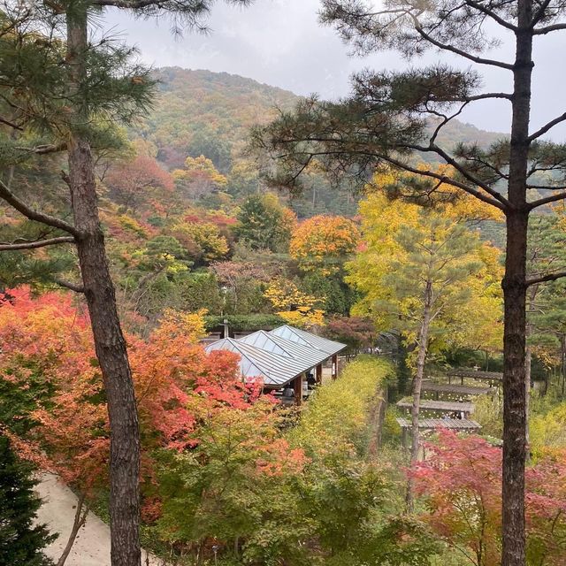 Beautiful autumn view of Hwadam botanicgarden