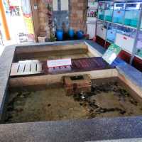 Arowana Marina Village Fish SPA