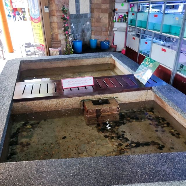 Arowana Marina Village Fish SPA