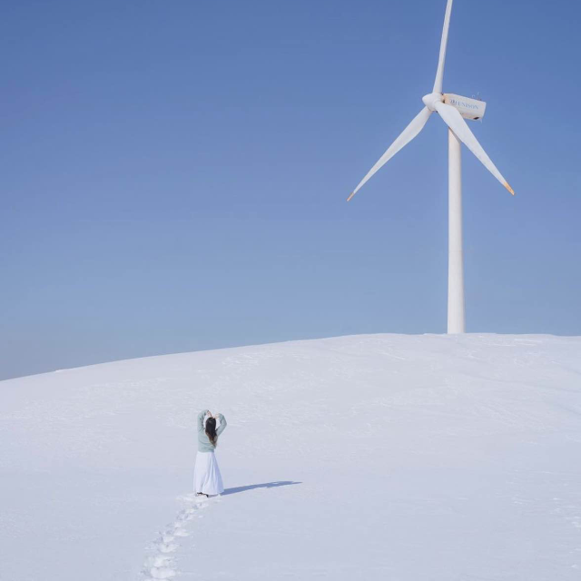 풍차와 함께 하얀눈밭이 가득한 삼양목장❄️