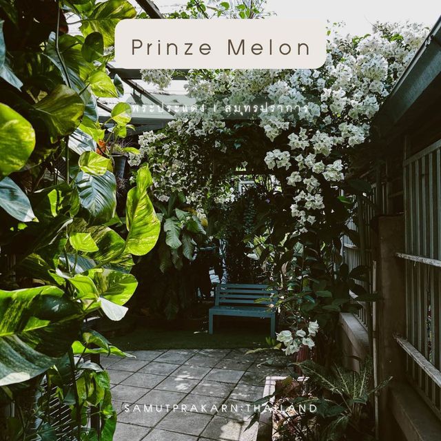 Prinze Melon Food & Coffee  ตลาดน้ำบางน้ำผึ้ง