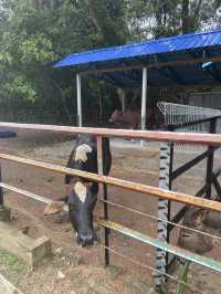 P.D. Ostrich Show Farm