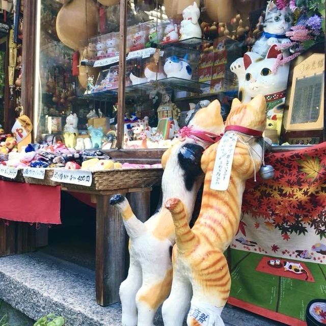 京都超和風穿越感⛩