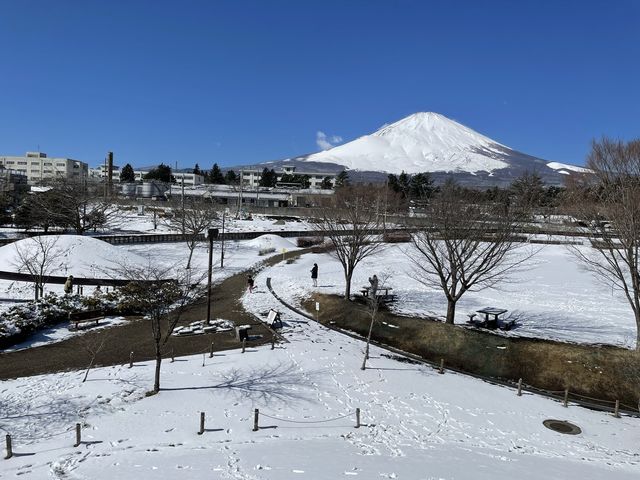 【静岡】富士山の見える絶景公園と雪景色