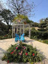 處處繡球花圃 @ 元朗公園